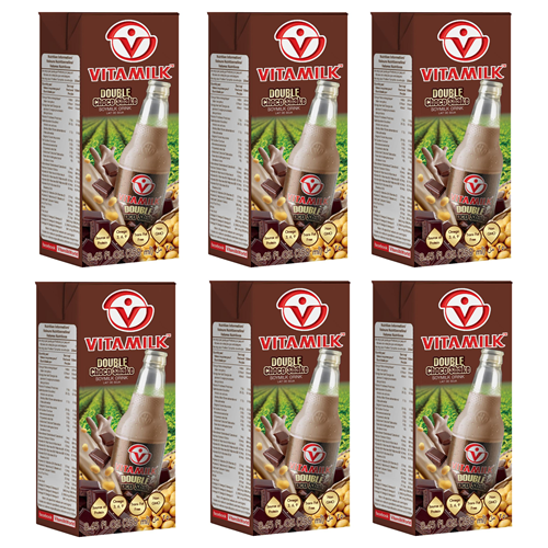 VITAMILK DOUBLE CHOCO TETRA PACK 250ML X 36